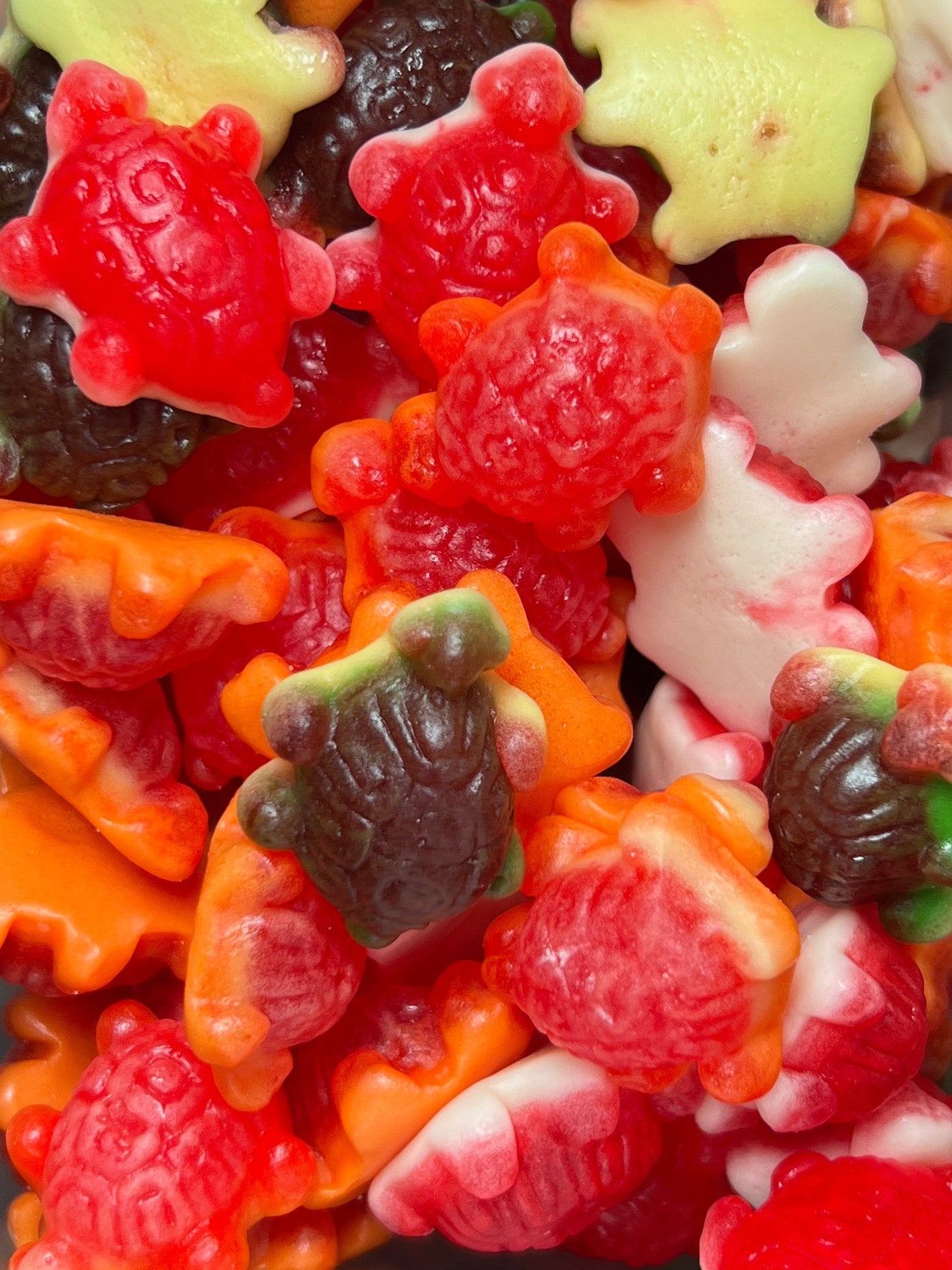 Jelly Filled Turtles